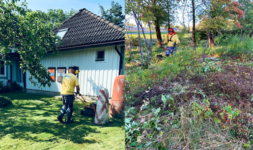 Trädgårdsarbete